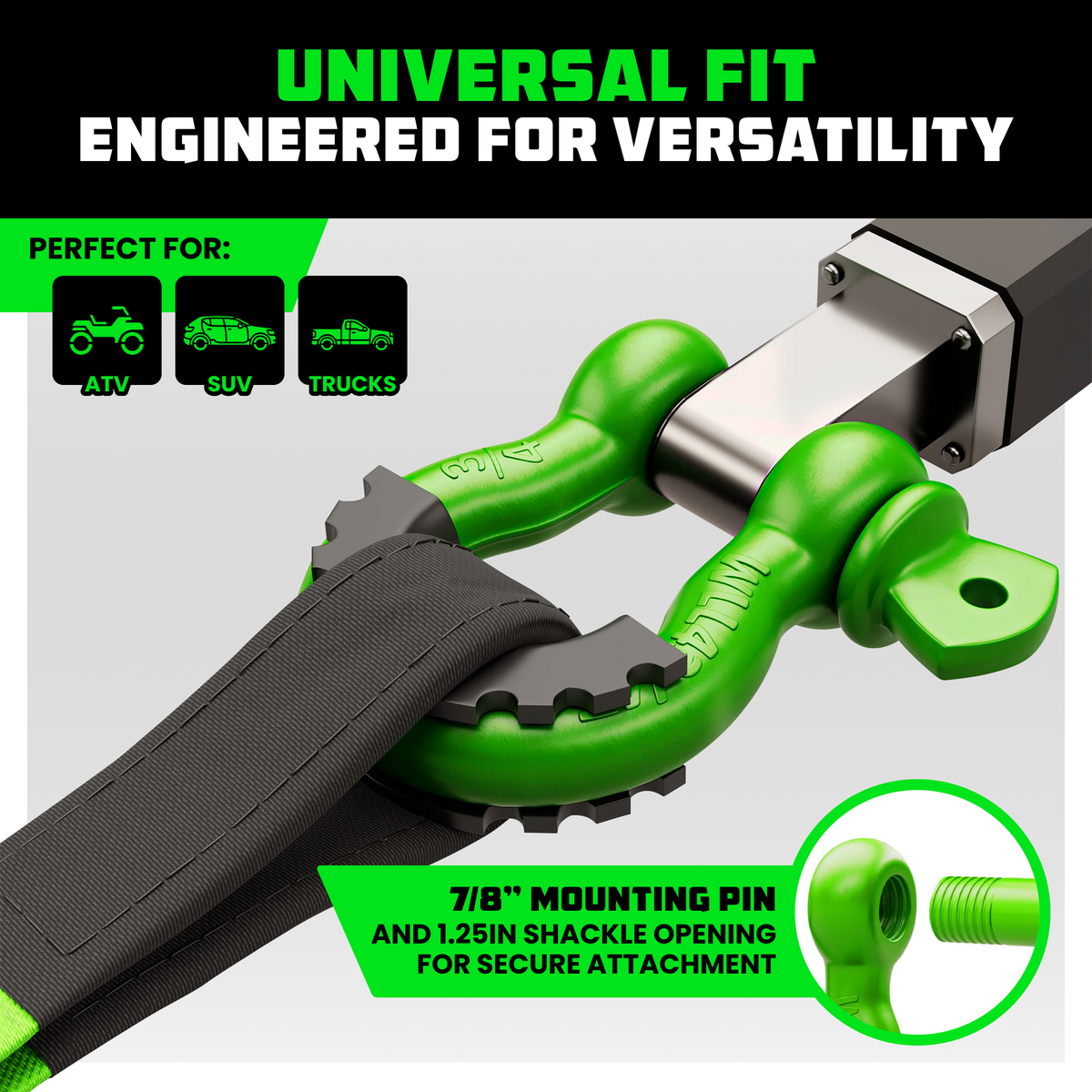 Rhino USA 3/4" D-Ring Shackle Set (2-Pack)
