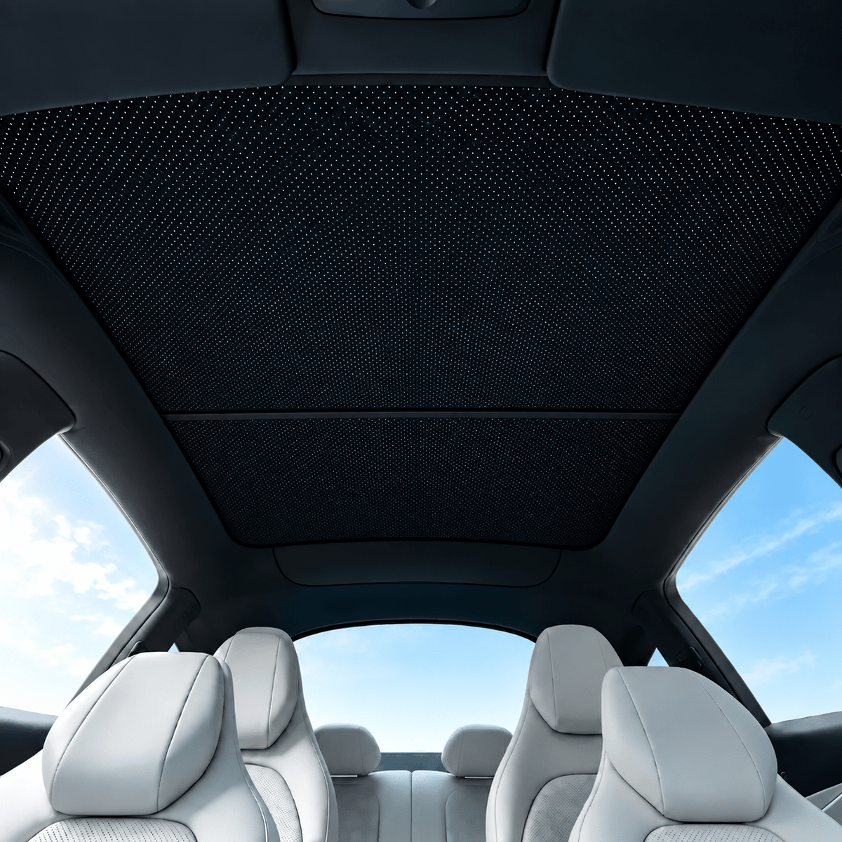 TESERY Glass Roof Sunshade for Model YL 6-Seater